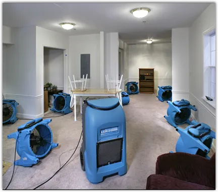 Water Mitigation Services in Pine, PA