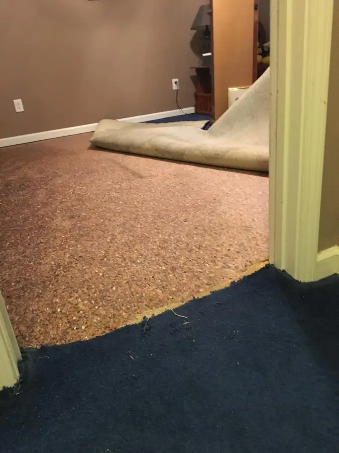 Carpet pad removal revealing water damage during Water Mitigation Services in Pine