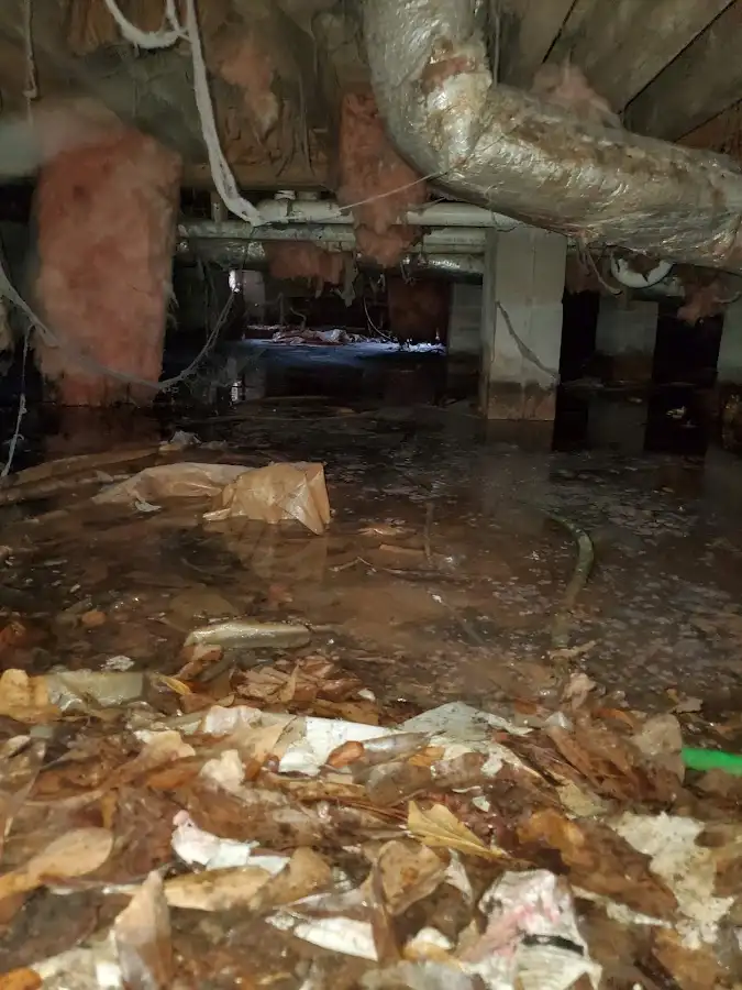 Crawl space flood assessment for Leak Detection & Repair in Pine