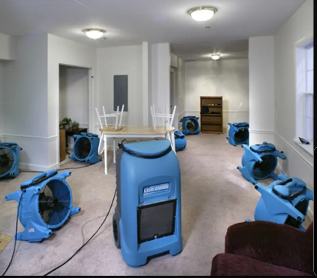 Air movers and dehumidifier setup for Water Extraction & Removal in Pine