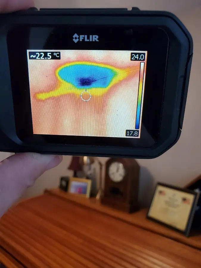 Thermal imaging inspection for water damage in Pine