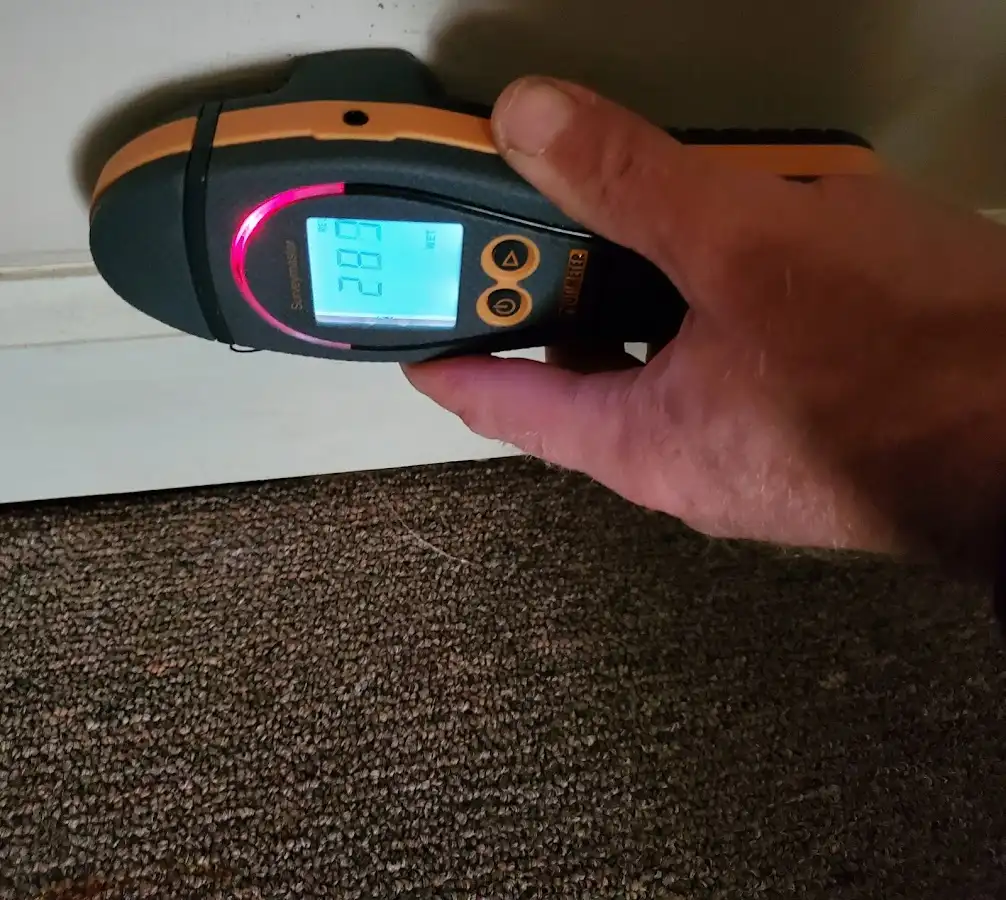 Moisture detection at baseboard during Storm Damage Restoration in Pine